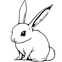 Art Study Design Studio