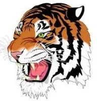 STRASBURG-FRANKLIN LOCAL SCHOOL DISTRICT