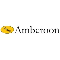 Amberoon Inc.