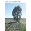 Test Test