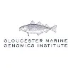 Gloucester Marine Genomics Institute Gloucester Marine Genomics Institute