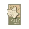 Lally Group, PC Lally Group, PC