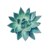 Fenn Consulting, LLC