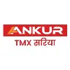 Ankur Udyog Limited ( Steel Divison)