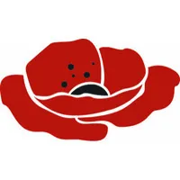 Disturbed Soil Event Solutions