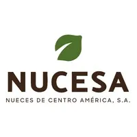 Nucesa