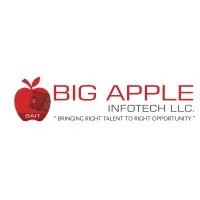 Big Apple Info Tech LLC