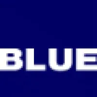 BLUE Investments