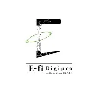 E-fi Digi Pro