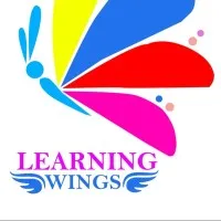 Learning Wings