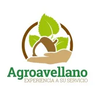 Agroavellano Agroavellano