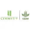 CIMMYT CIMMYT