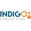 Indigo Consulting - IAM Experts Indigo Consulting - IAM Experts