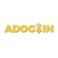 AdoGain- Digital Marketing Agency | IT Services