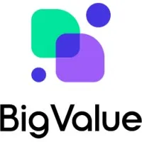 빅밸류(BIGVALUE)