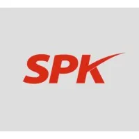 SPK Auditors & Consultants