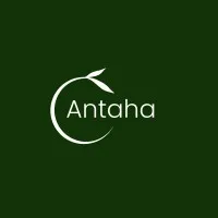 Antaha