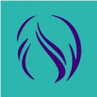 Arise Counseling Service LLC Arise Counseling Service LLC
