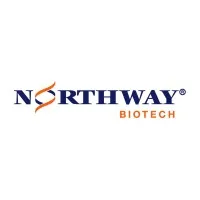 Northway Biotech email format