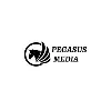 Pegasus Media Pegasus Media