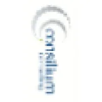 Consilium Consulting