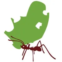 The Future Farmers Foundation