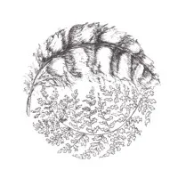 Feather and Fern Wildscapes