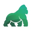 Gorilla Corporation Gorilla Corporation