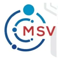 MSV YOUNG ENTREPRENEURS INDIA PVT LTD MSV YOUNG ENTREPRENEURS INDIA PVT LTD
