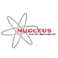 Nucleus Energy Services Inc.