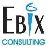 Ebix Consulting, formerly PB Systems, Inc. Ebix Consulting, formerly PB Systems, Inc.