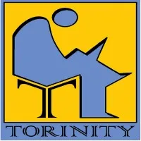 Torinity Consulting Company