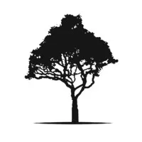 Koa Partners