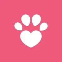 Catland - Adoção de Gatinhos