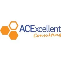 ACExcellent Consulting