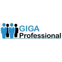 GigaProfessional Partners Inc.