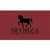Sforza Holding Sforza Holding