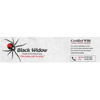 BLACK WIDOW TERMITE & PEST CONTROL