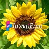 IntegriPrint, Inc.