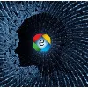 Equilibria Services Equilibria Services