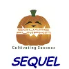 Square Sequel Consulting Pvt. Ltd