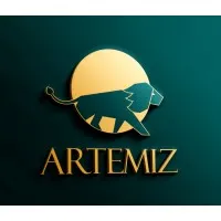 Artemiz Strategic Advisory