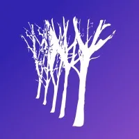 Grupo Veta Grupo Veta