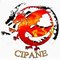 CIPANE Cyber Security Consultants Ltd