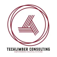 Techlimber Consulting Private Limited