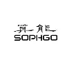 SOPHGO Technologies 算能科技 SOPHGO Technologies 算能科技
