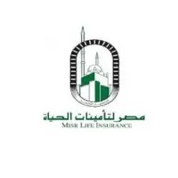 Misr Life Insurance Co. email format