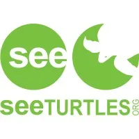 SEE Turtles SEE Turtles