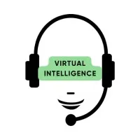 Virtual Intelligence Services LLC