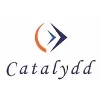 Catalydd Consulting Catalydd Consulting